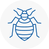 Bed Bug Extermination In Bridgend